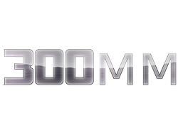 Масштаб 300 мм.