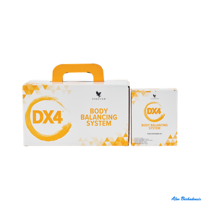 Dx4 Система балансировки тела