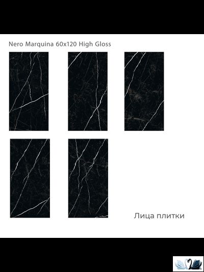 Керамогранит Staro Palacio Nero Marquina 60х120 см глянцевый