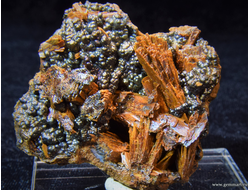 Сантабарбараит и псиломелан в полости породы