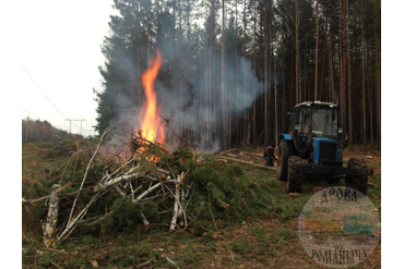 Сжигание порубочных остатков