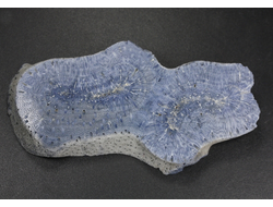 Коралл голубой Акори, Австралия (72*37*10 мм, 44 г) №37706