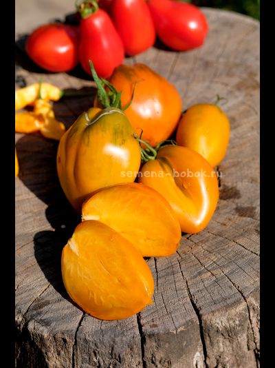 Томат Огненный гребень цвета Охра (Cresta di Fuoco), 10 шт