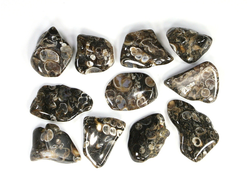 "Агат черепаховый", халцедон известняк-ракушечник, галтовка в ассортименте (18-25 мм, 2-3 г) №22882