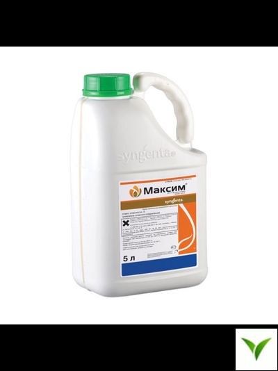 Максим КС 5л