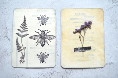 ФП  штамп "Папоротник серебристый"