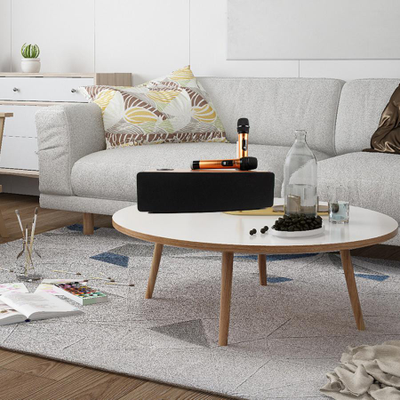 Акустическая караоке-система KS-120W с двумя беспроводными микрофонами