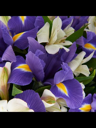 Букет "Snow sky"