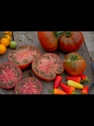 Томат Dwarf Mulatte (Гном Мулатка), 10 шт