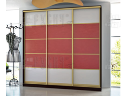 Шкаф-купе Ариадна 022