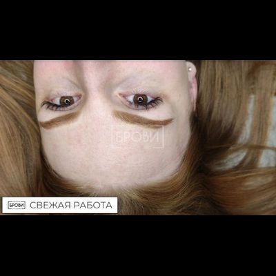 Брови. Спелая пшеница