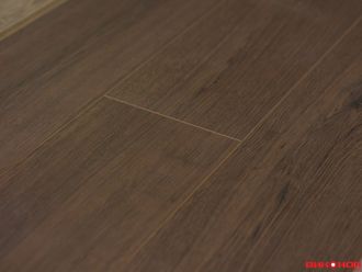 Дуб благородный