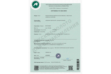 Аля. Сертификат тестирования поведения Т-1