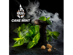 Табак Black Burn Cane Mint Тростниковая Мята 25 гр