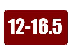 Шины 12-16.5