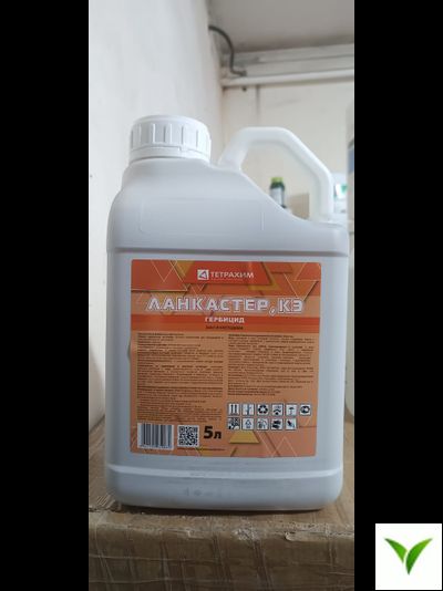Ланкастер КЭ 5 л