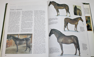 Лошади и уход за ними. Энциклопедическое издание о лошадях и пони с кратким руководством по их содержанию. Минск: Белфакс. 2001 г.