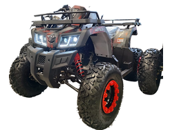 Квадроцикл MOTAX Grizlik T 200