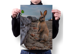 Плакат год Кролика №6