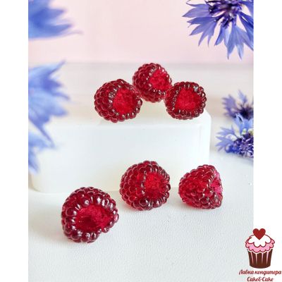 Молд Малина реалистичная, 6 шт.