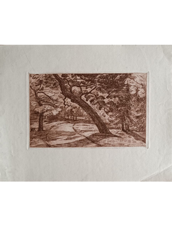 "Лес" офорт, сухая игла 1922 год