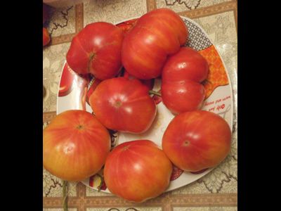 Томат Грейпфрут