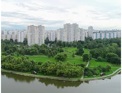 Дмитровский