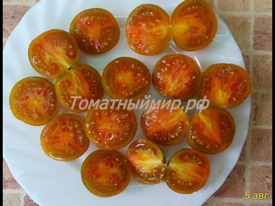 Томат Злая Маслина (Evil Olive, США)