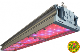 Фитоосвещение зимних садов, освещение теплицы люкс