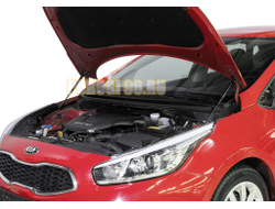 Амортизаторы капота, 2 шт. АвтоУпор для Kia CEED II / II рестайлинг 2012-2015 / 2015-2018