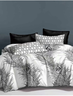 Постельное белье TANGO Dream Fly микросатин семейное 160x210x2 220x245x1 50x70x2 DF05-340-50