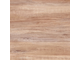 European Elm W008-1