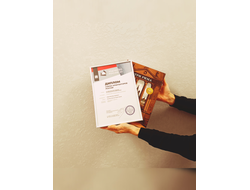 Илья Герасимов, Максим Гаубец. Три Рима: Вечный. Новый. Третий.