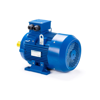 Электродвигатель АИС 180L4 (22 кВт) IM B3