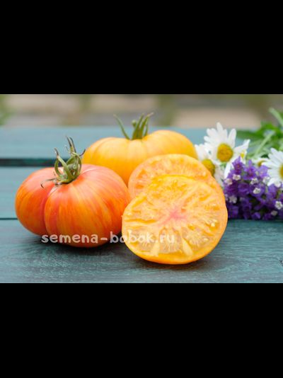 Томат План 9 из открытого космоса (Plan 9 from Outer Space), 10 шт.