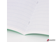 Тетрадь 12 л. BRAUBERG КЛАССИКА NEW частая косая линия с дополнительной горизонтальной, обложка картон, ЗЕЛЕНАЯ. 105693