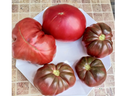 Томат Кудрявый Морателла (Rizado de Morratella )