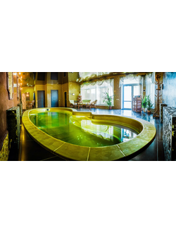 Композитный бассейн 8,66 х 3,7 х 1,17-1,71 "Монако-Stepless" Franmer