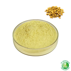 Шлемник байкальский - scutellaria baicalensis, 250гр.