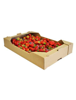 Гофролоток для ягод