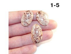 Коралл натуральный окаменелый (кабошон) №1-5: 7,4г - 2шт. 24*16*5мм + 1шт. 27*16*6мм