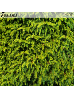 Фотофон виниловый «Яркая зелень»