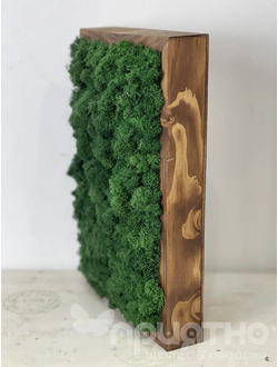 ЖИВАЯ ЭКО-КАРТИНА 1052