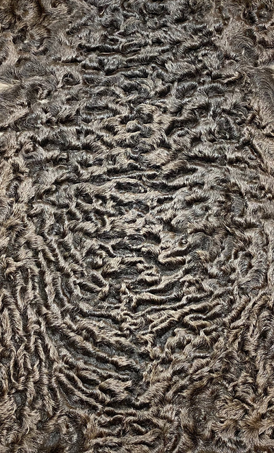 Каракуль Сур