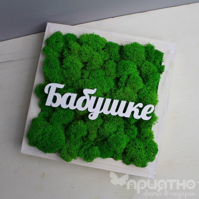 Живая Эко-Картина "Бабушке" 1085