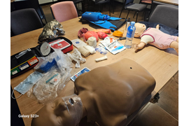 Международный курс EFR