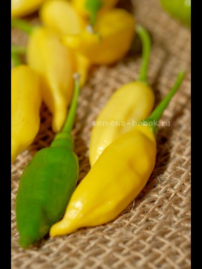 Перец острый Aji Lemon Drop (Ахи Лемон Дроп), 10 шт