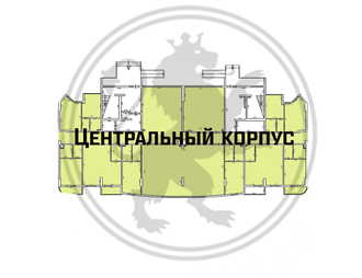 Помещение под деятельность, 473 кв.м, 1/4 эт. центральный корпус
