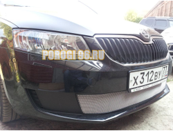 Защита радиатора Skoda Octavia А7 Active 2013-2017 chrome
