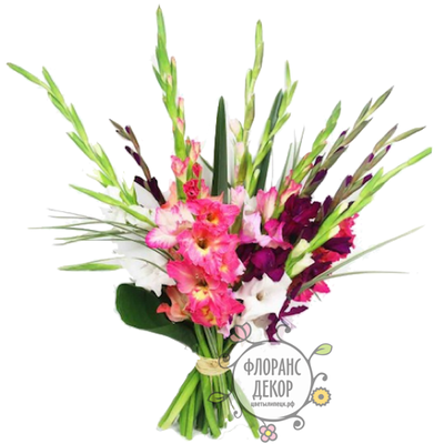 Букет гладиолусов